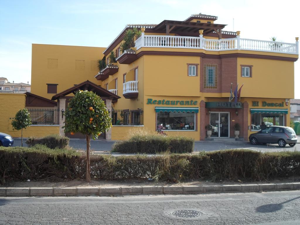 Hotel El Doncel Atarfe Exterior photo